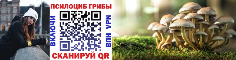 Галлюциногенные грибы GOLDEN TEACHER где можно купить наркотик Мамоново